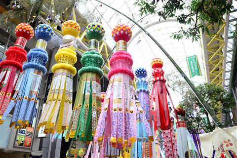 仙台七夕まつり　写真提供：宮城県観光戦略課